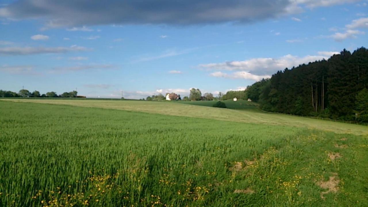 Haus Maria Waldblick